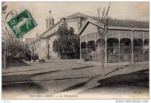 AFRIQUE. ALGERIE. AUTRES VILLES. SIDI BEL ABBES.  La Poissonnerie.