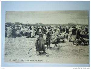 SIDI-BEL-ABBES    Marché  aux  BESTIAUX  -  Belle animation  XXX