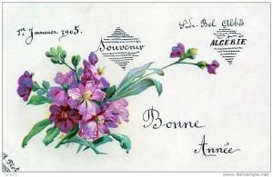 ALGERIE - SIDI BEL ABBES - Souvenir Bonne Année