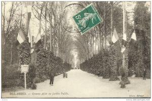 ALGERIE * SIDI-BEL-ABBES - Grande Allée du Jardin Public