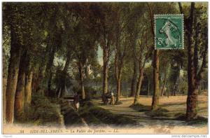 CARTE POSTALE ANCIENNE.  SIDI-BEL-ABBES. LA VALLEE DES JARDINS. 1911.