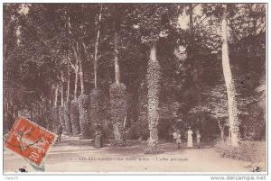 Algérie - Sidi Bel Abbès -  Allée Principale du Jardin Public