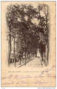 NK-0164-Algérie-Sidi Bel Abbès-L'avenue de la Gare-N.D.