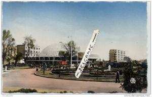 ALGERIE SIDI-BEL-ABBES  Les halles   . 9x14 dentelée , glaçée ,