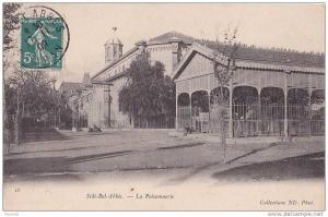 Sidi Bel Abbès.- (Algérie)  La Poissonnerie - (animée)