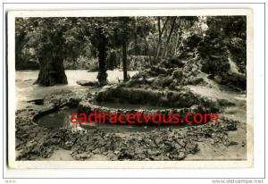 Afrique >  Algérie - Sidi Bel Abbès - jardin Public - La cascade - Ed Photo Africaine 19