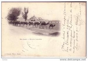 ALGERIE / SIDI BEL ABBES , Avenue Leschere , GEISER