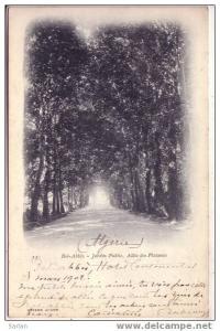 ALGERIE / SIDI BEL ABBES , Jardin public , Allée des Platanes , GEISER N° 23