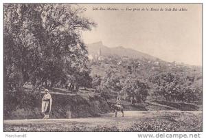 ALGERIE.SIDI BOU MEDINE.VUE PRISE DE LA ROUTE DE SIDI BEL ABBES   editeur ND