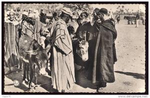 CPSM animée SIDI BEL ABBES Les Souks - Le Marché aux Anes