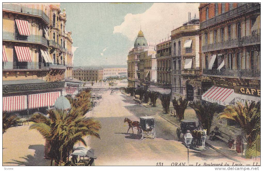 Horse Carts, Cafe, Le Boulevard Du Lycee, Oran, Algeria, Africa, 1900-1910s