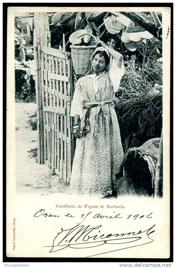 CPA. ORAN. Cueillette de Figues de Barbarie. /  Ed. Dépôt Lyonnais Oran.