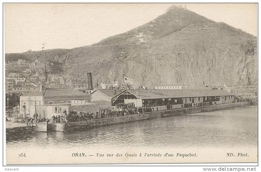 Oran 254 Vue sur les Quais a l arrivée d un Paquebot ND phot