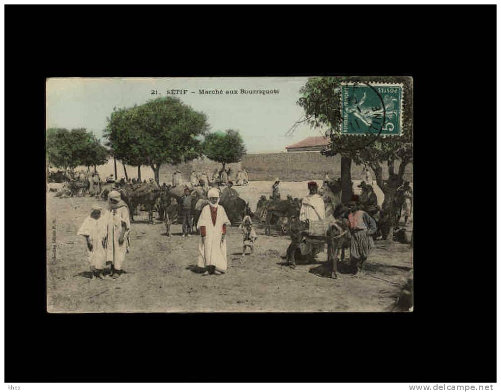 21 SETIF - Marché aux Bourriquots - ane