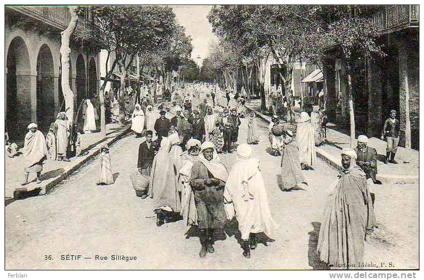 AFRIQUE. ALGERIE. SETIF. Vue sur La Rue Sillègue.