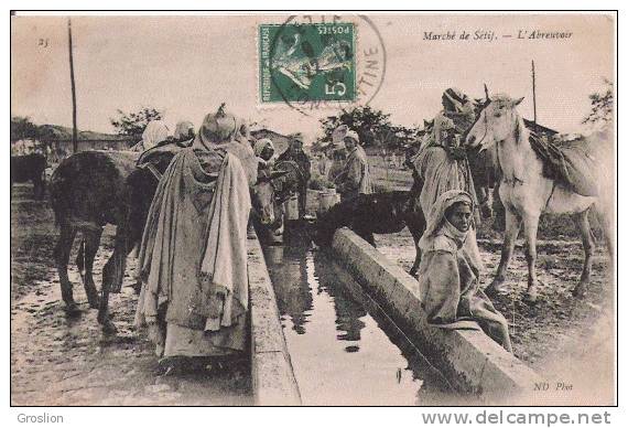SETIF 25 MARCHE L'ABREUVOIR (BELLE ANIAMTION) 1907