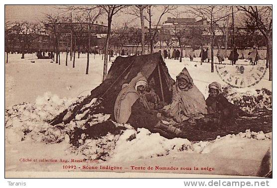 SETIF - Tente de nomades sous la neige - CPA TBon Etat (voir scan)