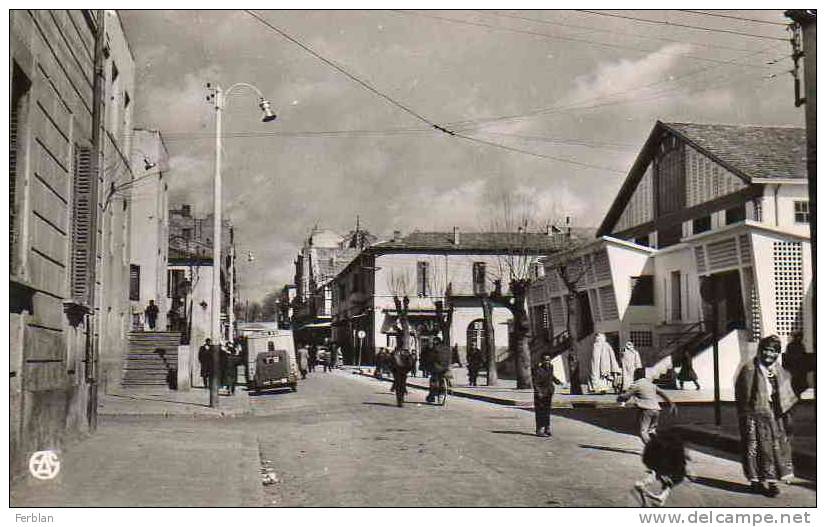 AFRIQUE. ALGERIE. SETIF. Vue sur La Rue Cardinal Lavigerie. Carte Dentelée.