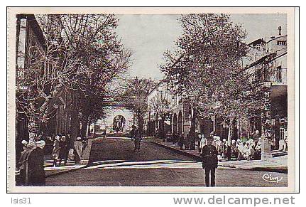 Algérie -  Z873 - Sétif - Rue Sillegue - bon état général