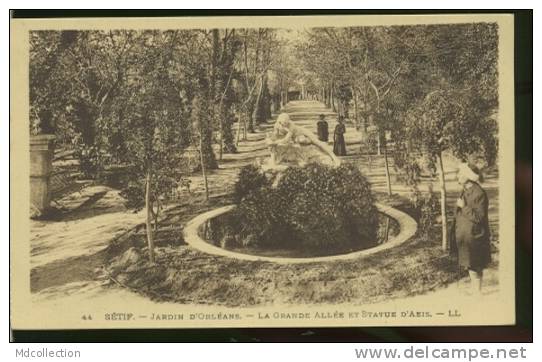 ALGERIE SETIF /  Jardin d'Orléans - la grande allée et la statue d'Aeis    /
