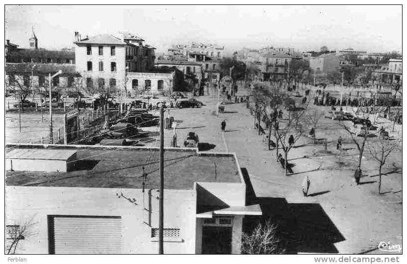 AFRIQUE. ALGERIE. SETIF. Vue sur Le Lycée et La Rue Centrale. Carte Dentelée.