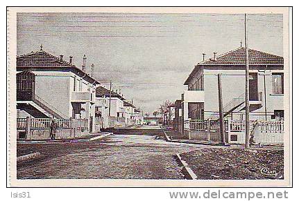 Algérie - Z883 - Setif - Cité Cuto Li - Rue Sidi Carnot - bon état