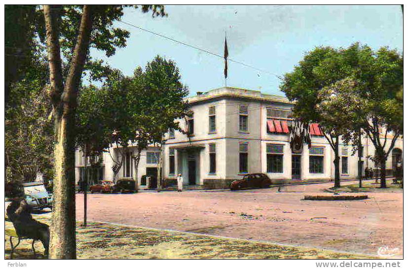 AFRIQUE. ALGERIE. SETIF. Vue sur L'Hôtel de Ville. Carte Dentelée.