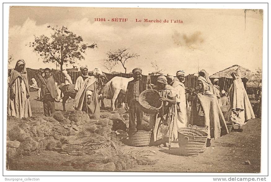 Sétif - Le Marché de l'alfa - CPA