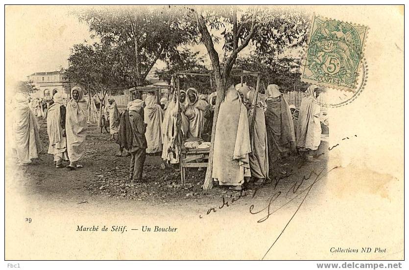 CPA Marché de Sétif - Un boucher (Editeur ND N°29)