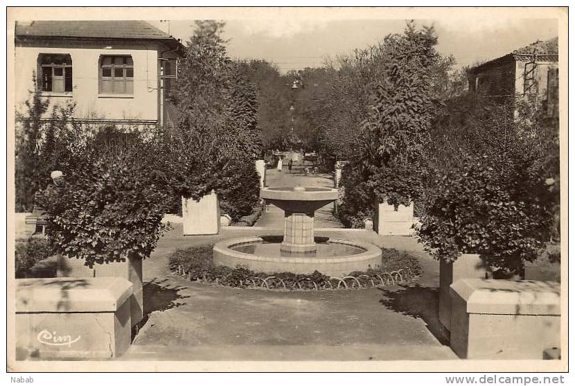 NK-DV 0035-Algérie-Sétif-Jardin du Palais de Justice-CIM