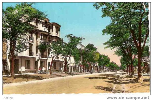 ALGERIE- ref no 400- setif - avenue jean jaures   - bon etat
