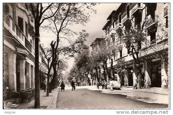 ALGERIE- ref no 871- setif -constantine - avenue principale georges clemenceau -