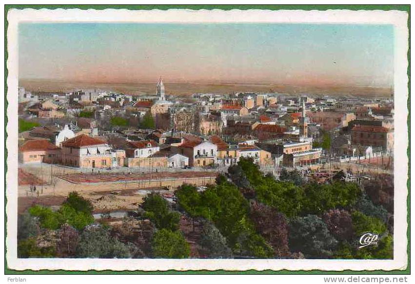 AFRIQUE. ALGERIE. SETIF. Vue Générale. Carte Dentelée.