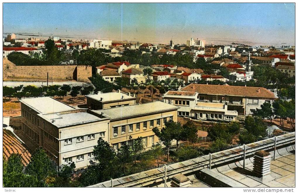 Afrique >  Algérie >   Sétif - Vue générale - 81 CAP