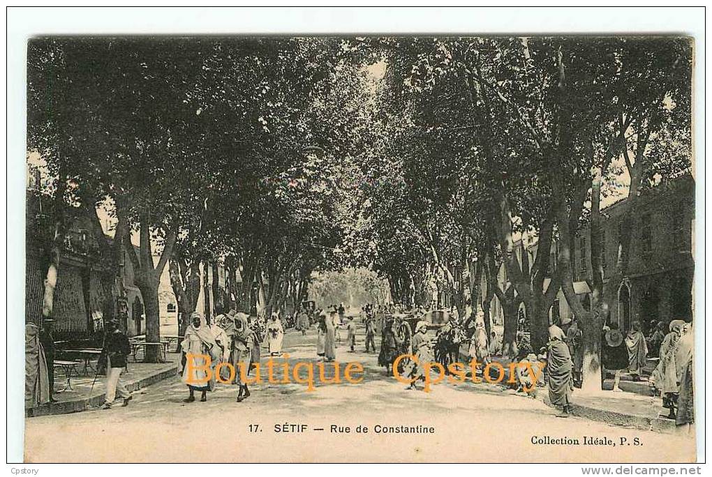 ALGERIE - SETIF - Rue de Constantine - Dos Scané