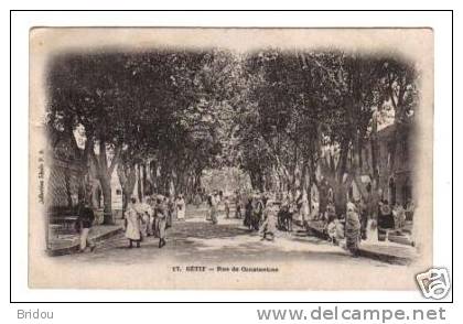 Algérie    SETIF   Rue de Constantine