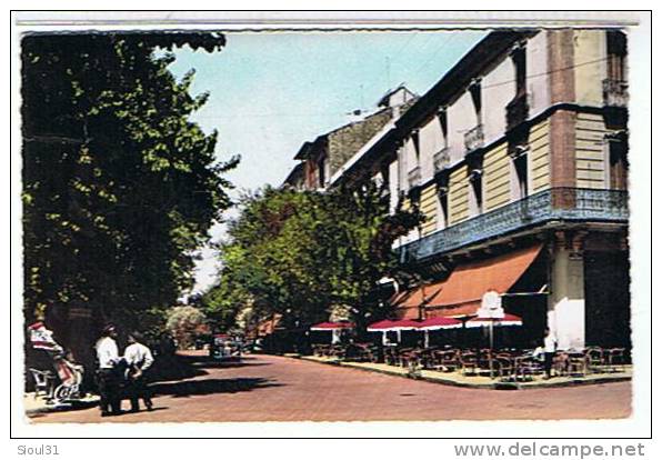 SETIF   - AVENUE  CLEMENCEAU  + SIMCA 8  CPSM  SUPER  ETAT