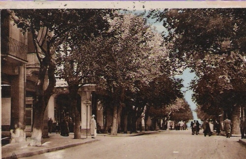 setif  avenue georges clemenceau