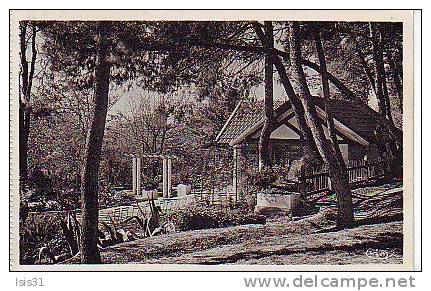 Algérie - Z878 - Sétif - Jardin d'Orléans - bon état général