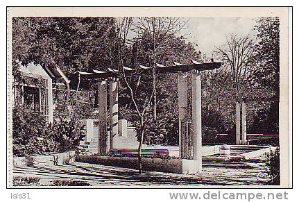 Algérie - Z886 - Sétif - Jardin d'Orléans - Pergola - bon état général