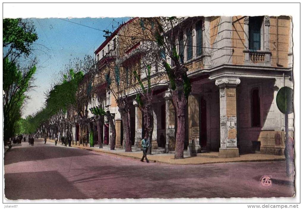 CPA     ALGERIE    SETIF      L AVENUE CLEMENCEAU  1957      ANIMEE