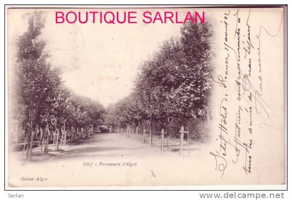 ALGERIE , SETIF , Geiser N°16 , Promenade d'Alger