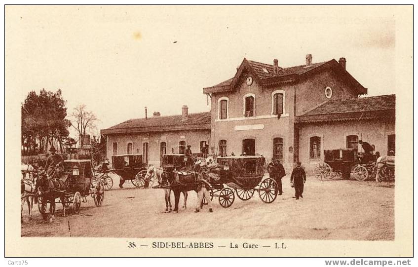 ALGERIE - SIDI BEL ABBES - La GARE - Attelages