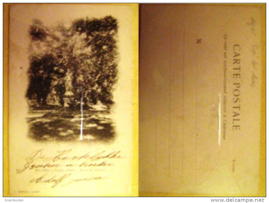 Algier Sidi bel Abbes Jardin Public Statue la Caresse ungeteilt