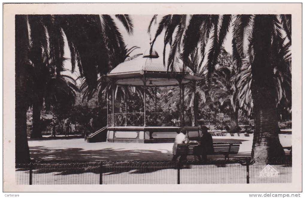 AFRIQUE,AFRICA,Algérie,ME RCIER LACOMBE EN 1951,SFIZEF,SFISSEF,sidi bel abbes,banc public,kiosque,rare