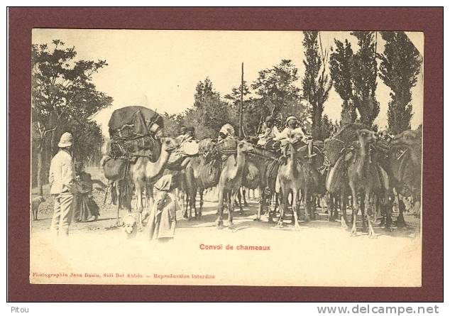 ALGERIE - SIDI BEL ABBES - CONVOI DE CHAMEAUX - EDITION 1900 - TRES BEAU PLAN TRES ANIME