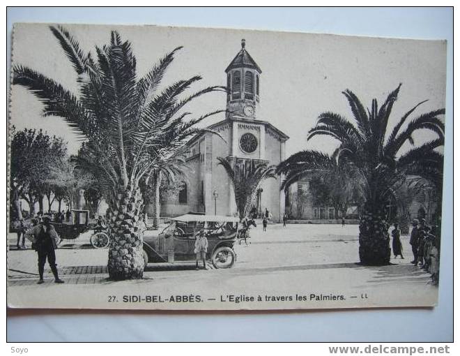 Sidi Bel Abbes l eglise a travers les palmiers
