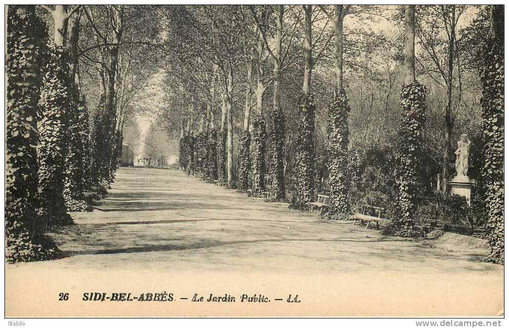 ALGERIE - SIDI-BEL-ABBES - LE JARDIN PUBLIC