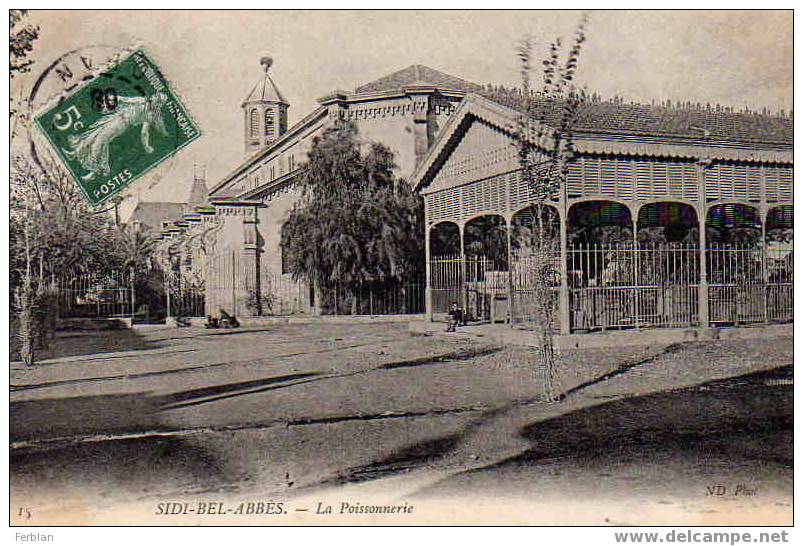 AFRIQUE. ALGERIE. AUTRES VILLES. SIDI BEL ABBES.  La Poissonnerie.