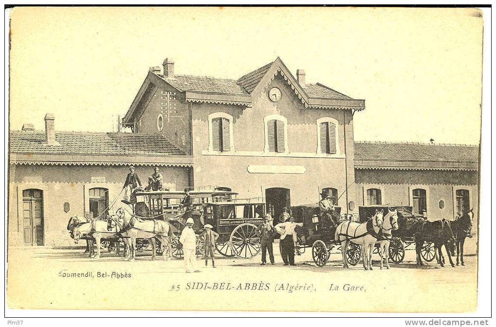 SIDI BEL ABBES - La Gare - Attelages